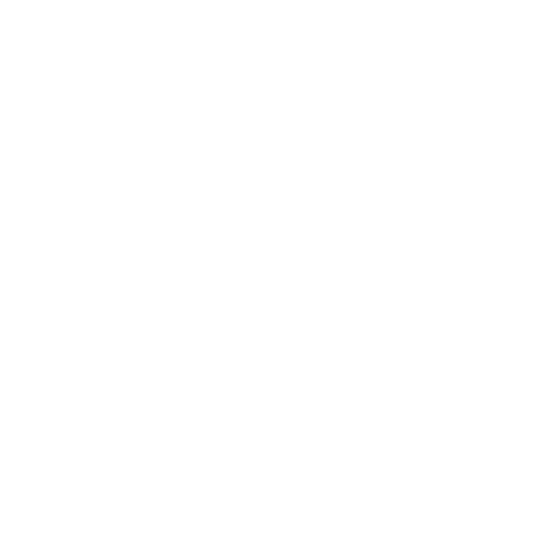 Maravilla Special Police Division